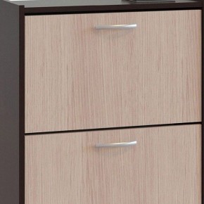 Шкаф для обуви ТО-24 в Асбесте - asbest.mebel24.online | фото 4