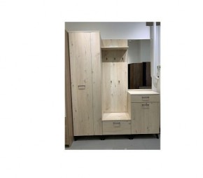 Шкаф для одежды 2-х дверный София 1 в Асбесте - asbest.mebel24.online | фото 6