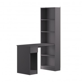 Шкаф комбинированный 10.01 Лайт (Темно - серый U2601) в Асбесте - asbest.mebel24.online | фото