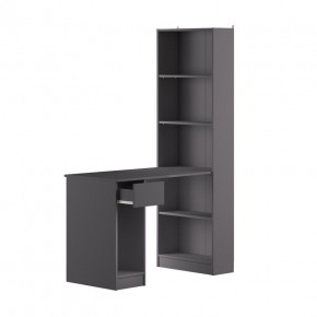 Шкаф комбинированный 10.01 Лайт (Темно - серый U2601) в Асбесте - asbest.mebel24.online | фото 2