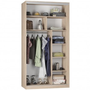 Шкаф-купе B-220х120х60-1 "Белла" в Асбесте - asbest.mebel24.online | фото