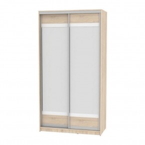 Шкаф-купе B-220х120х60-2 "Белла" (D10D10) в Асбесте - asbest.mebel24.online | фото