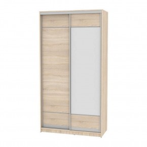 Шкаф-купе B-220х120х60-2 "Белла" (D7D8) в Асбесте - asbest.mebel24.online | фото