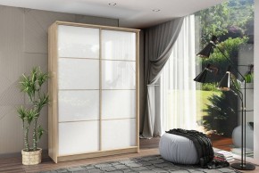 Шкаф-купе Байкал-2 СТЛ.268.11 в Асбесте - asbest.mebel24.online | фото