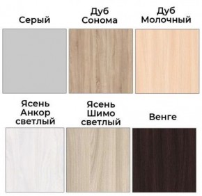 Шкаф-купе ХИТ 22-17-66 (620) в Асбесте - asbest.mebel24.online | фото 4