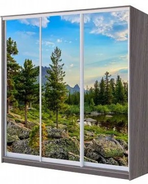 Шкаф-купе ХИТ 22-20/2-777 ПРИРОДА в Асбесте - asbest.mebel24.online | фото