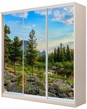 Шкаф-купе ХИТ 22-20-777 ПРИРОДА в Асбесте - asbest.mebel24.online | фото