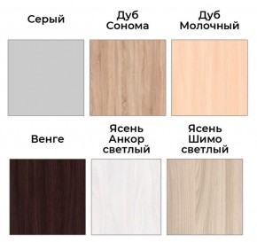 Шкаф-купе ХИТ 22-4-14-11 (420) в Асбесте - asbest.mebel24.online | фото 5