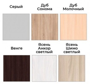 Шкаф-купе ХИТ 22-4-17-55 (420) в Асбесте - asbest.mebel24.online | фото 3