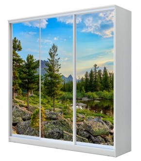 Шкаф-купе ХИТ 22-4-18-777 ПРИРОДА в Асбесте - asbest.mebel24.online | фото