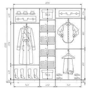Шкаф-купе ХИТ 22-4-20-555 (420) в Асбесте - asbest.mebel24.online | фото 2