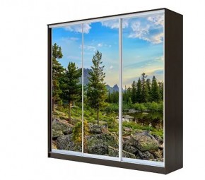 Шкаф-купе ХИТ 22-4-20-777 (420) в Асбесте - asbest.mebel24.online | фото