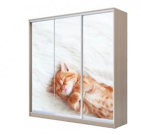 Шкаф-купе ХИТ 22-4-20-777 КОТЕНОК СПЯЩИЙ в Асбесте - asbest.mebel24.online | фото