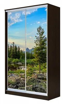 Шкаф-купе ХИТ 23-12-77 ПРИРОДА в Асбесте - asbest.mebel24.online | фото