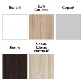 Шкаф-купе ХИТ 23-24/2-7777 (620) в Асбесте - asbest.mebel24.online | фото 2