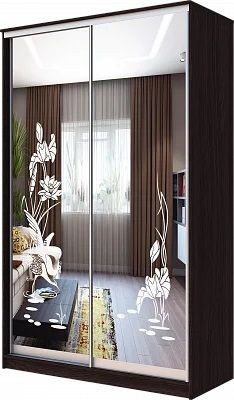 Шкаф-купе ХИТ 23-4-14-66 ЦАПЛИ в Асбесте - asbest.mebel24.online | фото