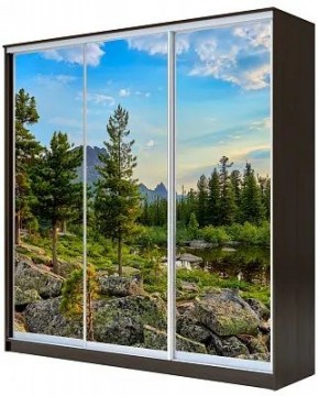 Шкаф-купе ХИТ 23-4-18/2-777 ПРИРОДА в Асбесте - asbest.mebel24.online | фото