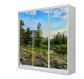 Шкаф-купе ХИТ 23-4-20-777 (420) в Асбесте - asbest.mebel24.online | фото