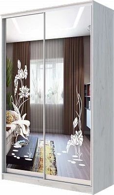 Шкаф-купе ХИТ 24-14-66 ЦАПЛИ в Асбесте - asbest.mebel24.online | фото