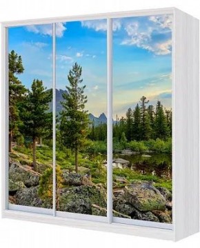 Шкаф-купе ХИТ 24-18/2-777 ПРИРОДА в Асбесте - asbest.mebel24.online | фото