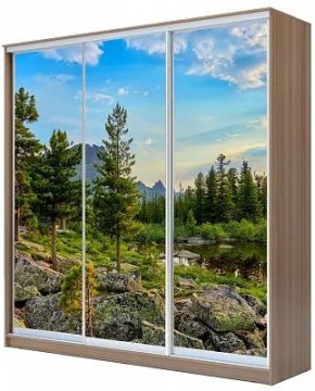 Шкаф-купе ХИТ 24-20/2-777 ПРИРОДА в Асбесте - asbest.mebel24.online | фото