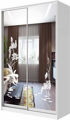 Шкаф-купе ХИТ 24-4-12-66 ЦАПЛИ в Асбесте - asbest.mebel24.online | фото