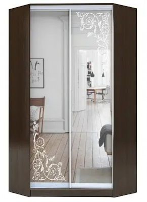 Шкаф-купе ХИТ-У-23-4-66 ОРНАМЕНТ в Асбесте - asbest.mebel24.online | фото