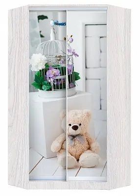 Шкаф-купе ХИТ-У-24-4-77 МИШКА В ИНТЕРЬЕРЕ в Асбесте - asbest.mebel24.online | фото