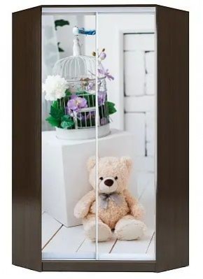 Шкаф-купе ХИТ-У-R-23-64-77 МИШКА В ИНТЕРЬЕРЕ в Асбесте - asbest.mebel24.online | фото