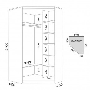 Шкаф-купе ХИТ-У-R-24-64-88 в Асбесте - asbest.mebel24.online | фото 3