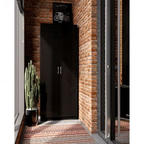 Шкаф ПЕГАС двухдверный, цвет Дуб Венге в Асбесте - asbest.mebel24.online | фото 4