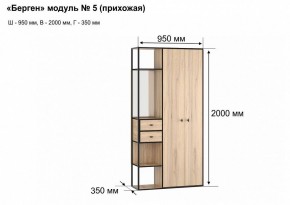 Шкаф платяной Берген-5 в Асбесте - asbest.mebel24.online | фото 7