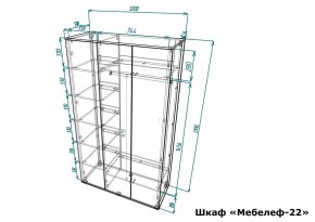 Шкаф платяной Мебелеф-22 в Асбесте - asbest.mebel24.online | фото 7