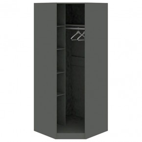 Шкаф платяной Наоми СМ-208.07.06 R в Асбесте - asbest.mebel24.online | фото 2