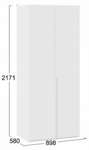 Шкаф платяной Порто СМ-393.07.003 в Асбесте - asbest.mebel24.online | фото 5