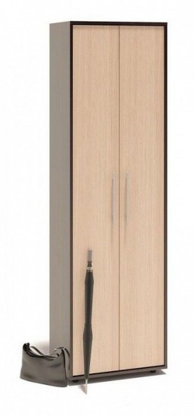 Шкаф платяной ШО-1 в Асбесте - asbest.mebel24.online | фото