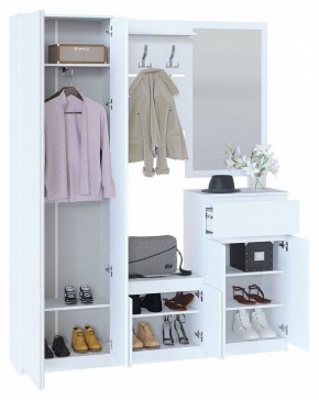 Шкаф платяной ШО-4 в Асбесте - asbest.mebel24.online | фото 4