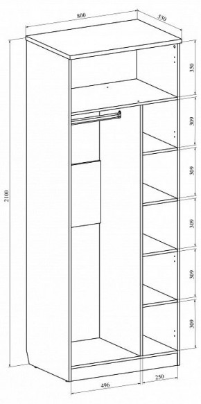 Шкаф платяной Виктория ВИ-11 в Асбесте - asbest.mebel24.online | фото 3