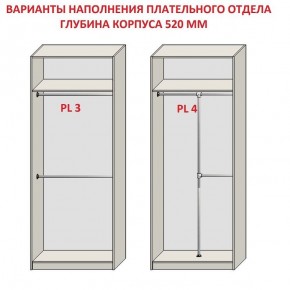 Шкаф распашной серия «ЗЕВС» (PL3/С1/PL2) в Асбесте - asbest.mebel24.online | фото 10