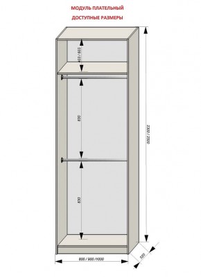 Шкаф распашной серия «ЗЕВС» (PL3/С1/PL2) в Асбесте - asbest.mebel24.online | фото 12