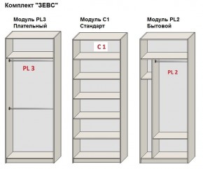 Шкаф распашной серия «ЗЕВС» (PL3/С1/PL2) в Асбесте - asbest.mebel24.online | фото 2