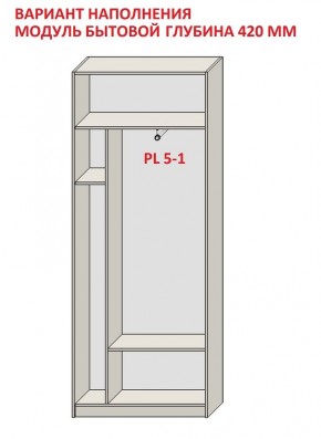 Шкаф распашной серия «ЗЕВС» (PL3/С1/PL2) в Асбесте - asbest.mebel24.online | фото 4