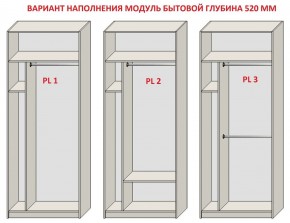 Шкаф распашной серия «ЗЕВС» (PL3/С1/PL2) в Асбесте - asbest.mebel24.online | фото 5