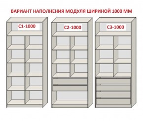 Шкаф распашной серия «ЗЕВС» (PL3/С1/PL2) в Асбесте - asbest.mebel24.online | фото 7