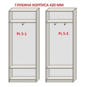 Шкаф распашной серия «ЗЕВС» (PL3/С1/PL2) в Асбесте - asbest.mebel24.online | фото 8