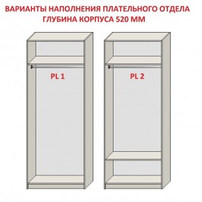 Шкаф распашной серия «ЗЕВС» (PL3/С1/PL2) в Асбесте - asbest.mebel24.online | фото 9