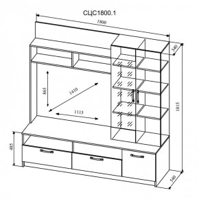 СОФИ Гостиная (модульная) дуб сонома/белый глянец в Асбесте - asbest.mebel24.online | фото 9