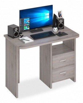 Стол письменный Домино Lite СКЛ-Прям100Р в Асбесте - asbest.mebel24.online | фото 2