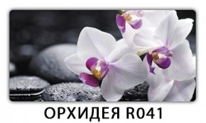 Стол раздвижной-бабочка Трилогия с фотопечатью Доска D111 в Асбесте - asbest.mebel24.online | фото 20