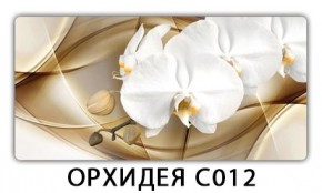 Стол раздвижной Трилогия с фотопечатью Доска D112 в Асбесте - asbest.mebel24.online | фото 13